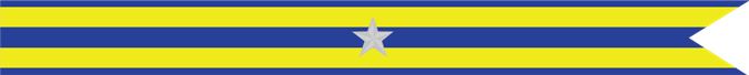 United States Navy Expeditionary Campaign Streamer with 1 Silver Star